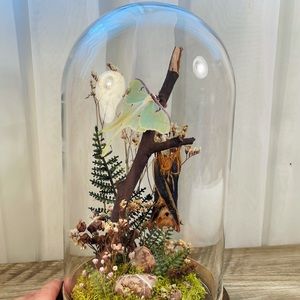 Meet your Posher, Britney